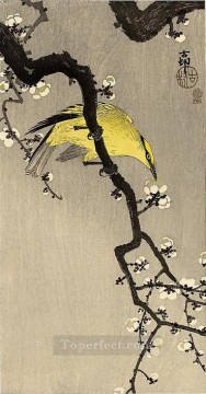 Japanese Painting - oriole Ohara Koson Japanese
